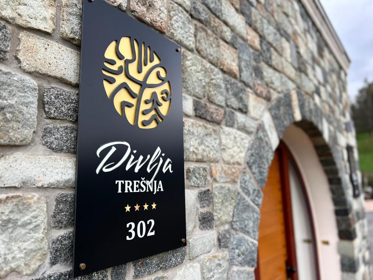 Toplik Village Resort Lukavica Exterior foto